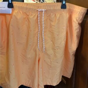 Goodfellow & Co Men's Bathing Suit